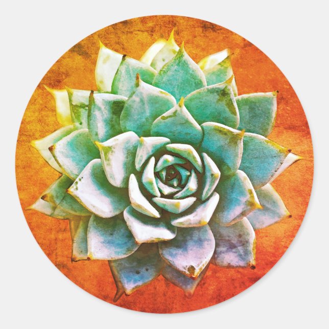Succulent Watercolor on Orange Rust Classic Round Sticker (Front)