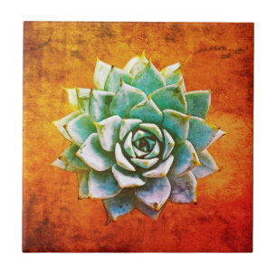 Succulent Watercolor on Orange Rust Tile