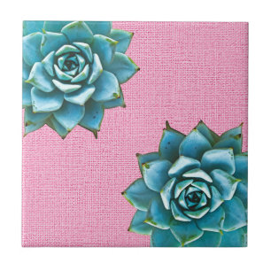 Succulent Watercolor on Pale Pink Tile