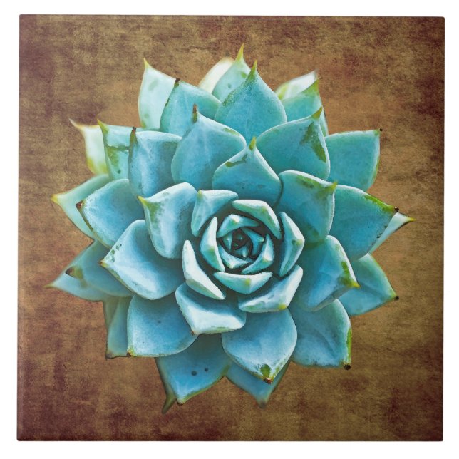 Succulent Watercolor on Rustic Brown Tile (Front)