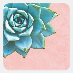 Succulent Watercolor Pink Lace Square Sticker