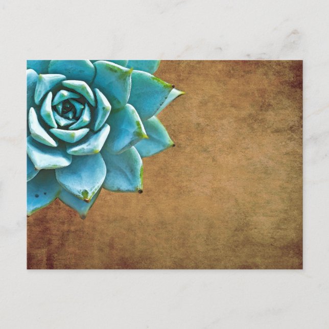 Succulent Watercolor Rustic Brown Postcard (Front)