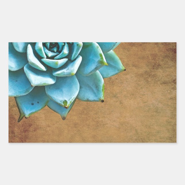Succulent Watercolor Rustic Brown Rectangular Sticker (Front)