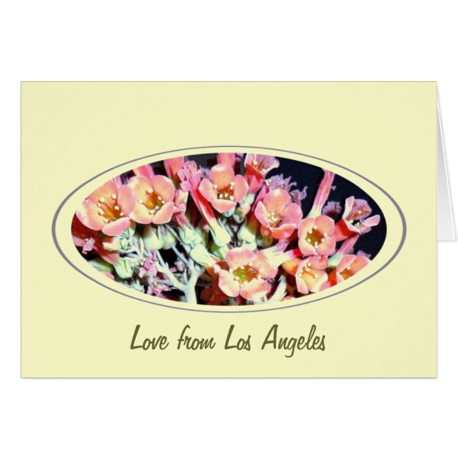 Succulent "Weed" (Front Horizontal)