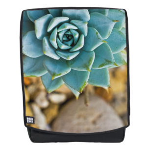 Succulent with Pebbles Backpack