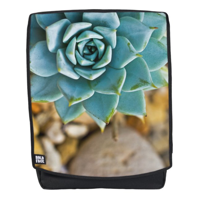 Succulent with Pebbles Backpack (Front)