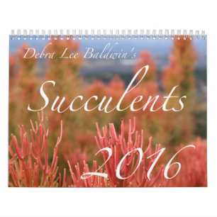 Succulents 2016 Calendar by Debra Lee Baldwin