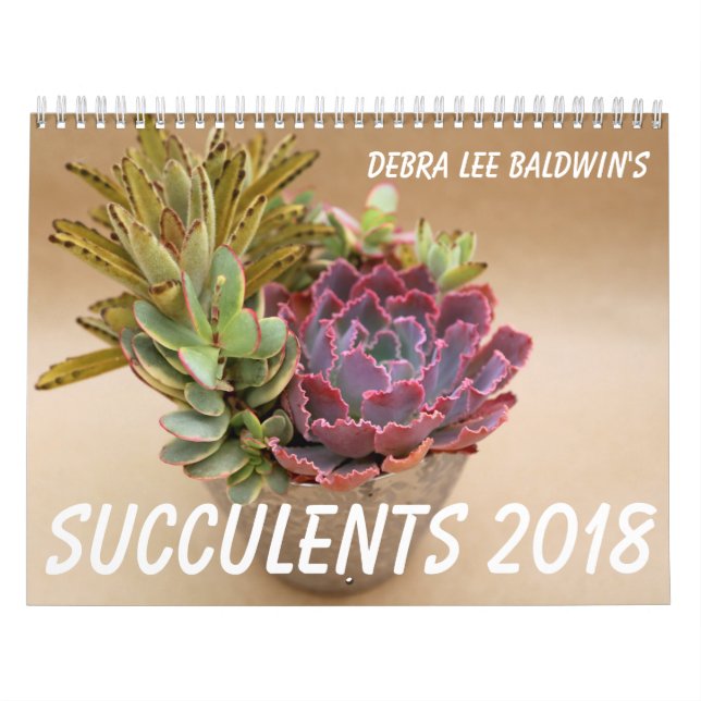 Succulents 2018 Calendar by Debra Lee Baldwin (Cover)