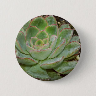 Succulents 6 Cm Round Badge