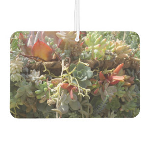 Succulents Air Freshener