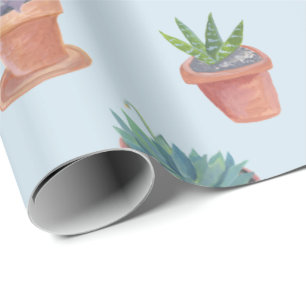 Succulents and cacti on blue background gift wrap