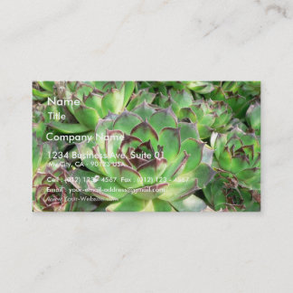 Succulents Business Card