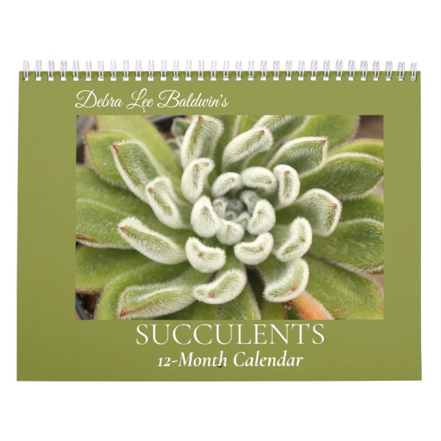 Succulents by Debra Lee Baldwin #4 Calendar (Cover)
