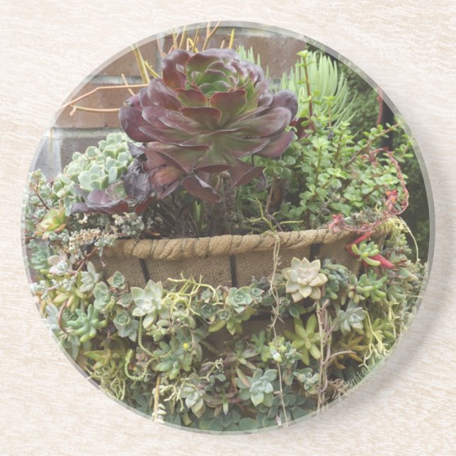 Succulents Coasters (Front)