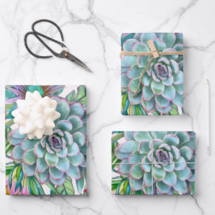 Succulents Echeveria Cactus Flowers Pattern Wrapping Paper Sheet