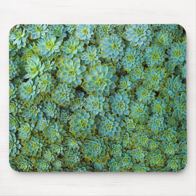Succulents - Echeveria plant Mouse Mat (Front)