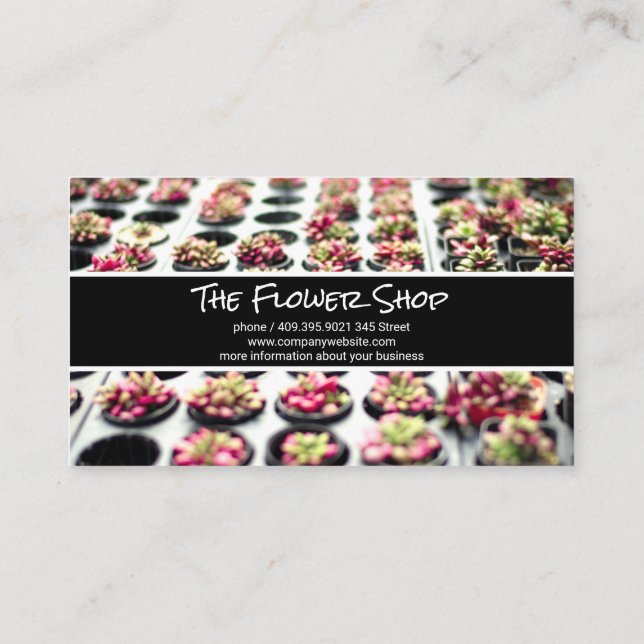 Succulents | Flowers | Nursery  Business Card (Back)