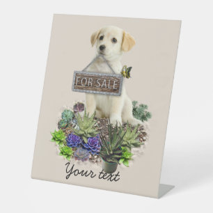 Succulents for sale  pedestal sign