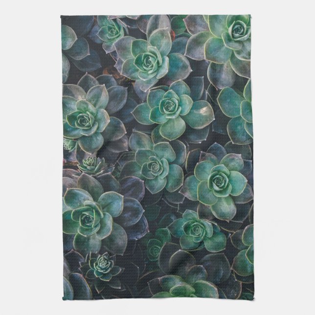 Succulents garden plants dish tea towel (Vertical)