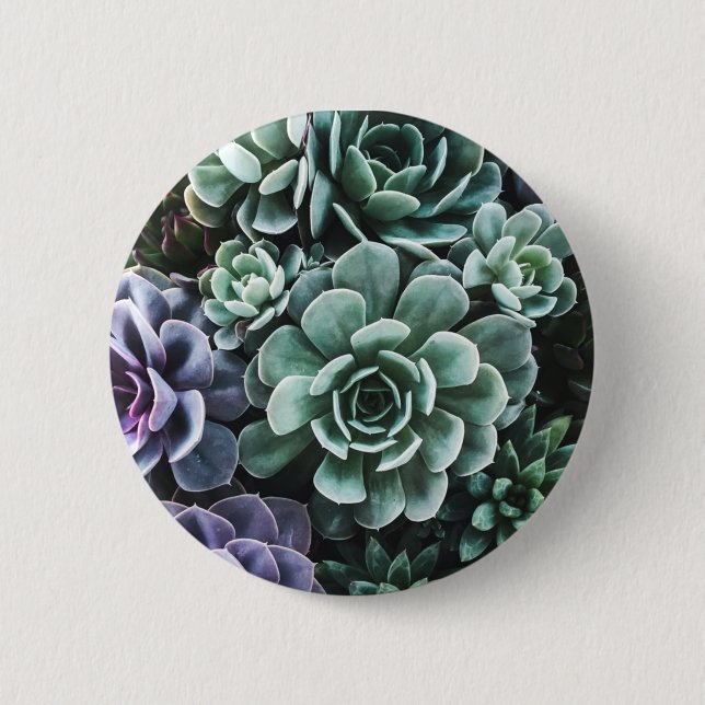 Succulents Green Plants Nature 6 Cm Round Badge (Front)