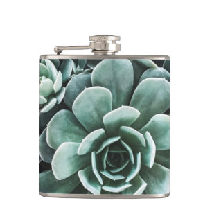 Succulents Green Plants Nature Hip Flask