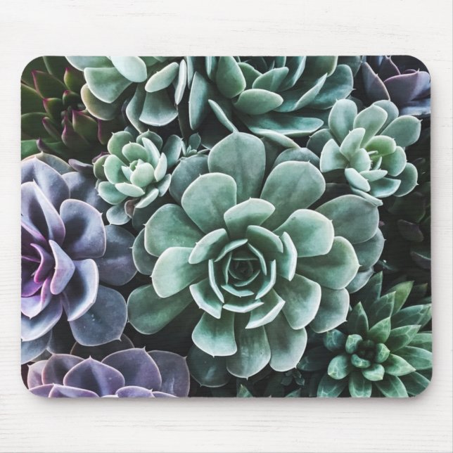 Succulents Green Plants Nature Mouse Mat (Front)
