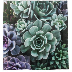 Succulents Green Plants Nature Shower Curtain
