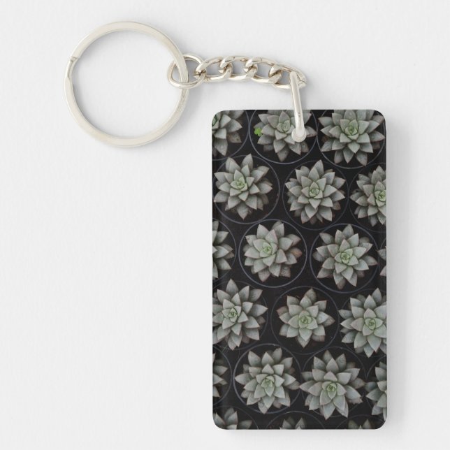 Succulents in Pots Key Ring (Front)