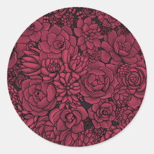 Succulents in Viva Magenta- Colour of the Year 202 Classic Round Sticker