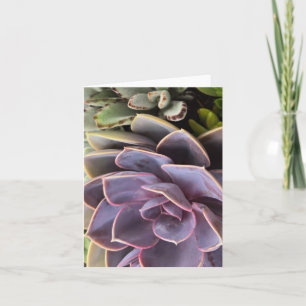 Succulents Invitation