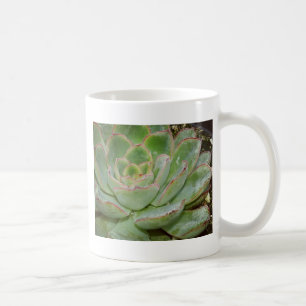 Succulents Macro Photography  Coffee Mug