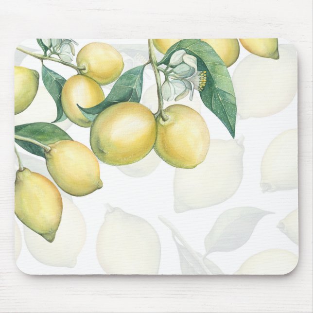 Succulents Modern Chic Marble Fiesta Garden Mouse Mat (Front)