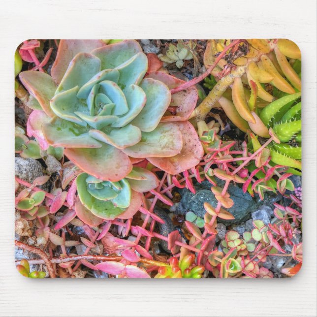 Succulents Mouse Mat (Front)