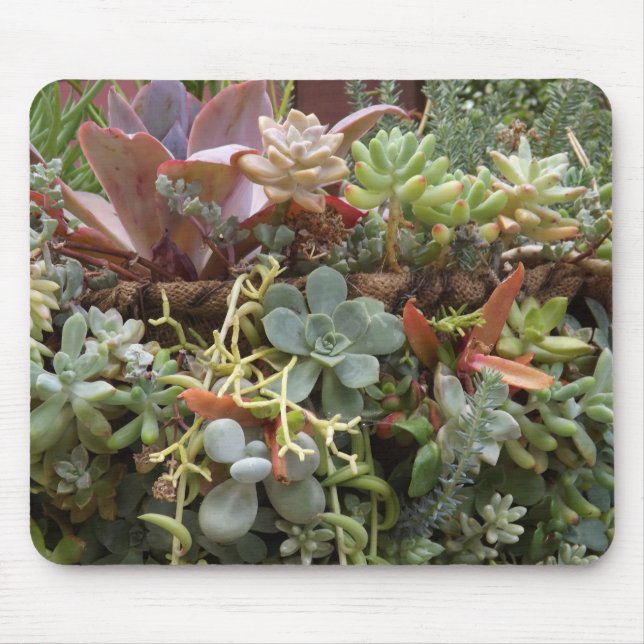 Succulents Mouse Mat (Front)