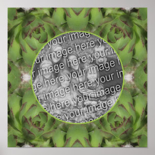 Succulents Nature Frame Create Your Own Photo  Poster