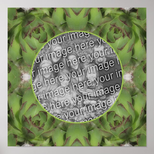 Succulents Nature Frame Create Your Own Photo  Poster (Front)