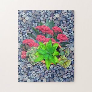 Succulents on a riverbed jigsaw puzzle