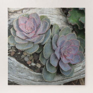 Succulents On Driftwood Jigsaw Puzzle