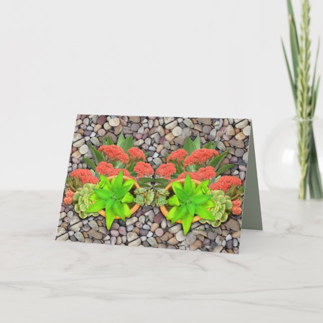 Succulents on garden pebbles announcement (Front)