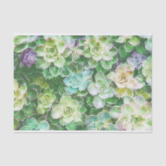 Succulents Painting by Cindy Bendel Tissue Paper (Front)