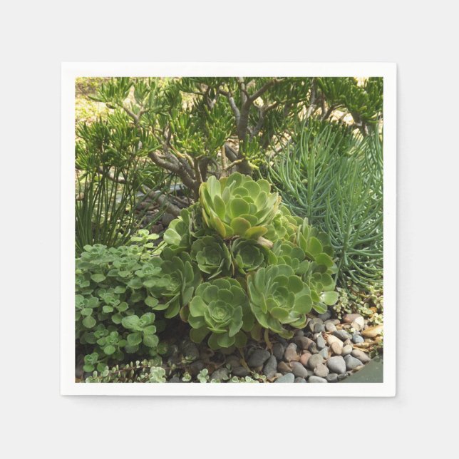 Succulents Paper Napkin (Front)