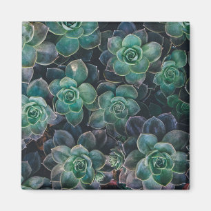 Succulents Pattern Magnet