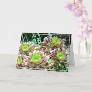 SUCCULENTS/PLUM AND LIME GREEN COLORS CARD