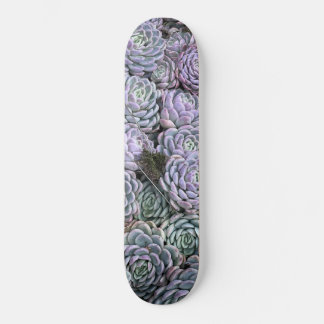 Succulents, Succulents, Succulents Skateboard