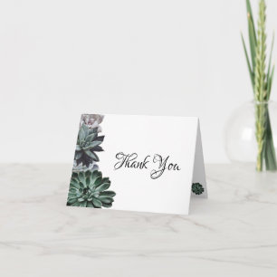 Succulents Thank You Card