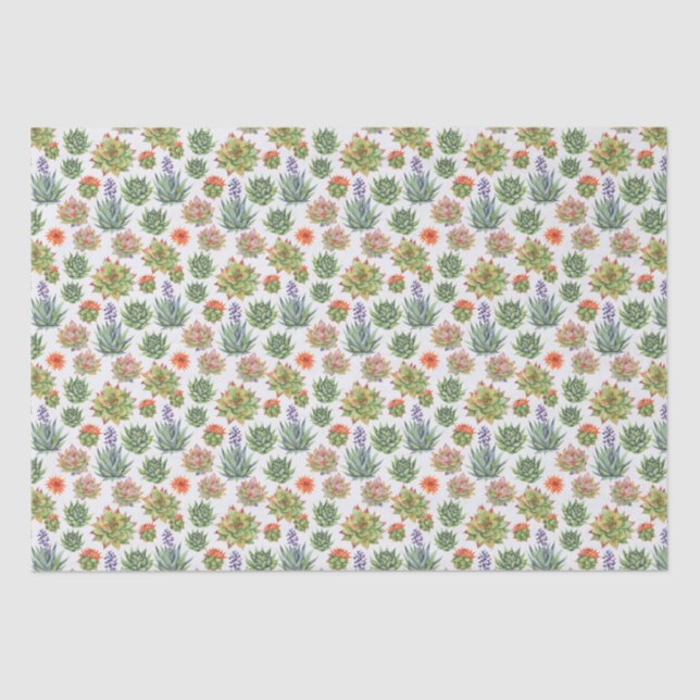 Succulents Tissue Paper (Front)
