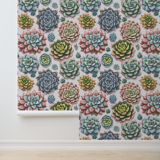 Succulents Wallpaper (Application)