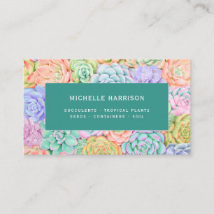 Succulents Watercolor Colourful Plants Shop QR Cod Business Card