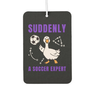 Suddenly a soccer expert car air freshener