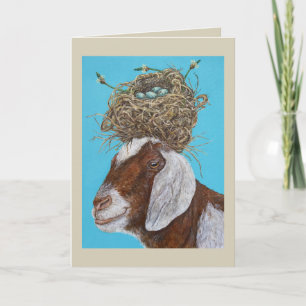 Sudie the goat card
